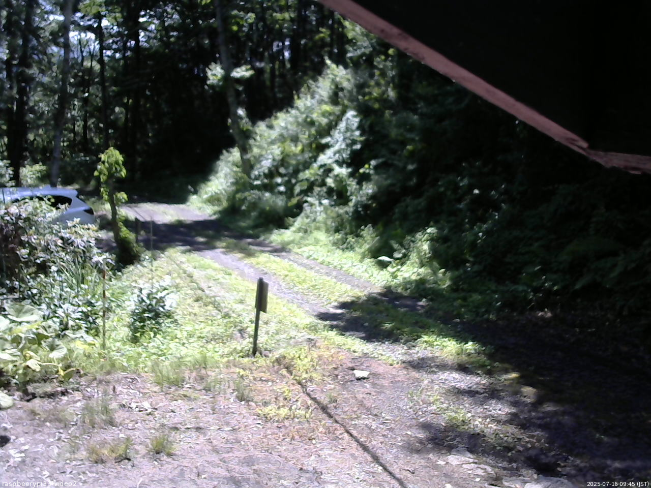 長野県菅平高原 ゆたか山荘 南側 2025/07/16 09:45