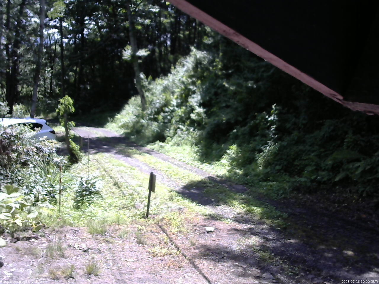長野県菅平高原 ゆたか山荘 南側 2025/07/16 10:00