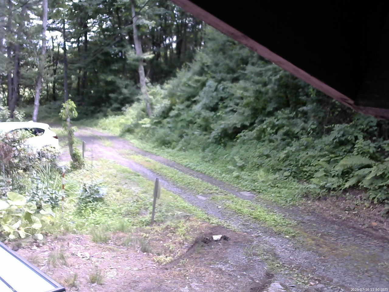 長野県菅平高原 ゆたか山荘 東側(坂下) 2025/07/16 11:30