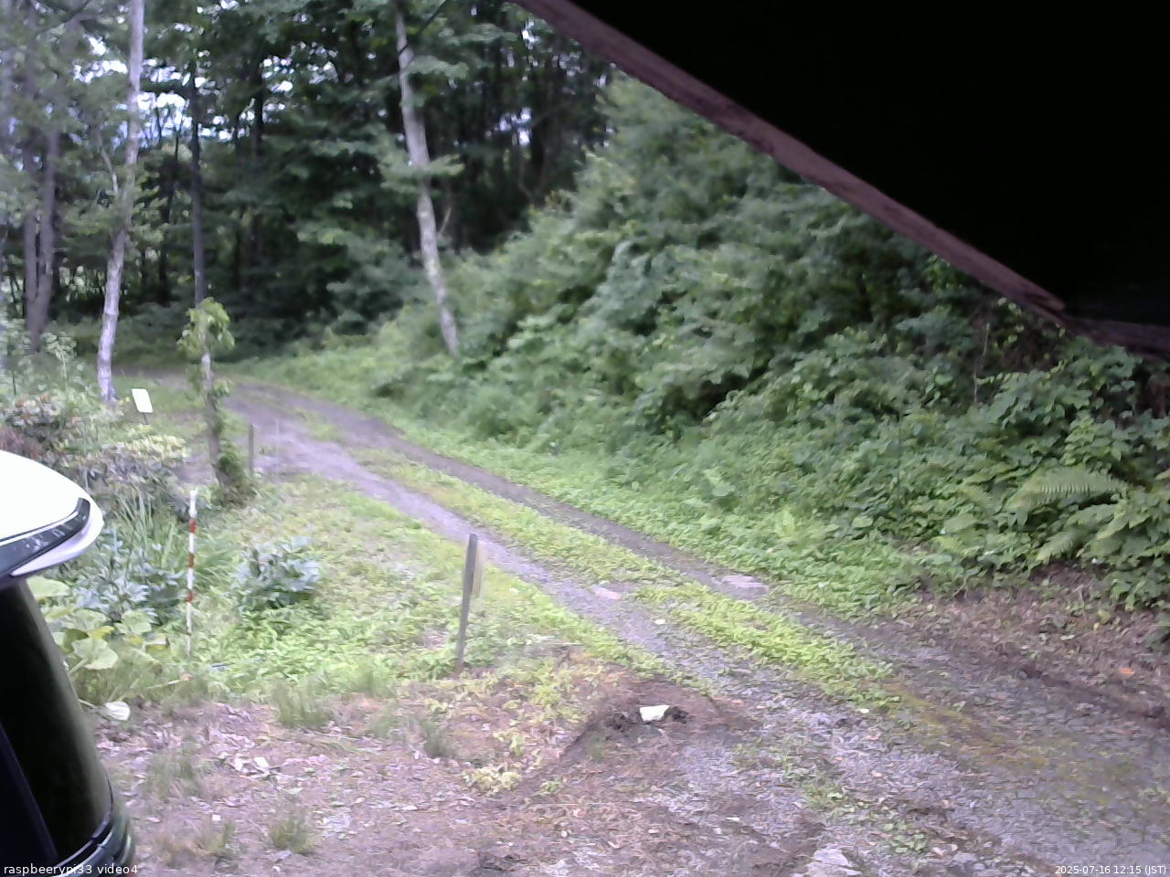 長野県菅平高原 ゆたか山荘 東側(坂下) 2025/07/16 12:15