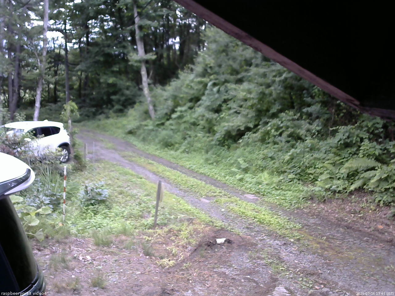 長野県菅平高原 ゆたか山荘 東側(坂下) 2025/07/16 13:45