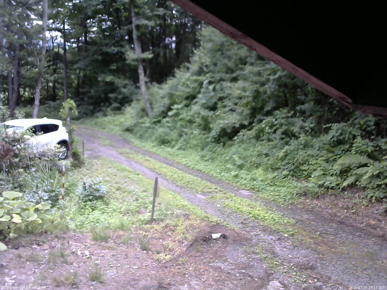 長野県菅平高原 ゆたか山荘 東側(坂下) 2025/07/16 14:15