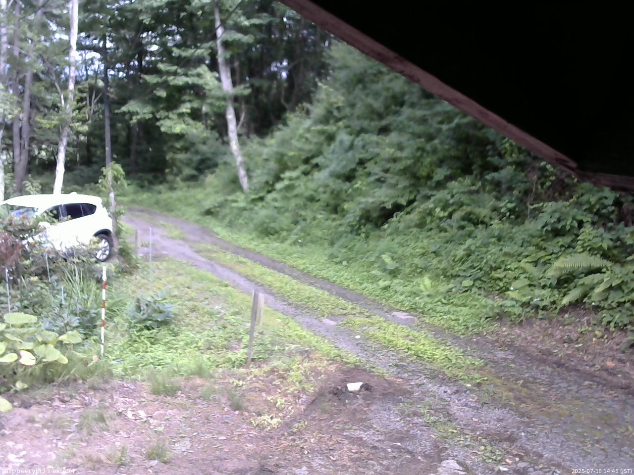 長野県菅平高原 ゆたか山荘 東側(坂下) 2025/07/16 14:45