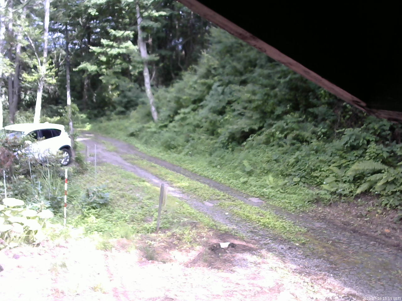 長野県菅平高原 ゆたか山荘 東側(坂下) 2025/07/16 15:15