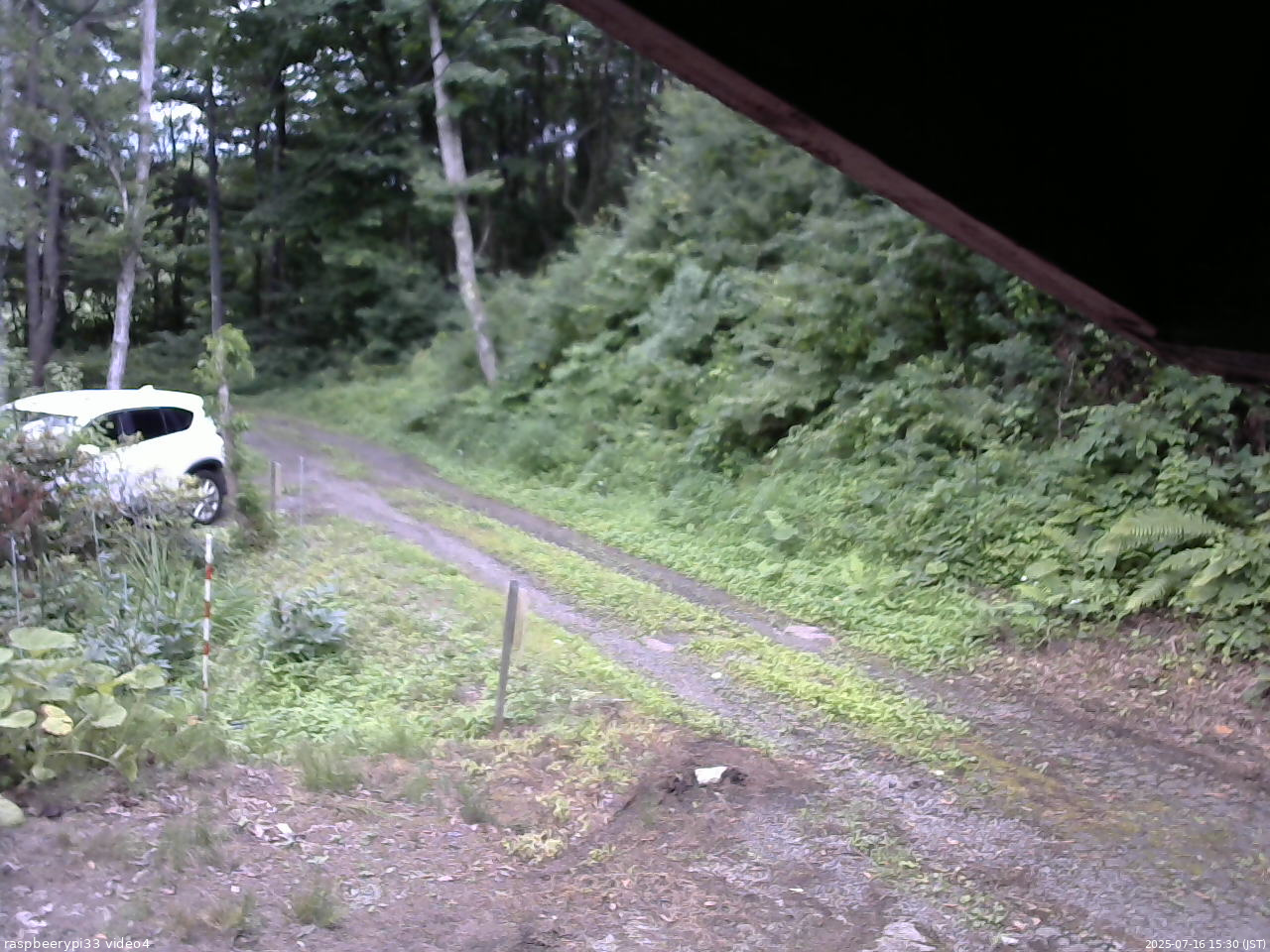 長野県菅平高原 ゆたか山荘 東側(坂下) 2025/07/16 15:30