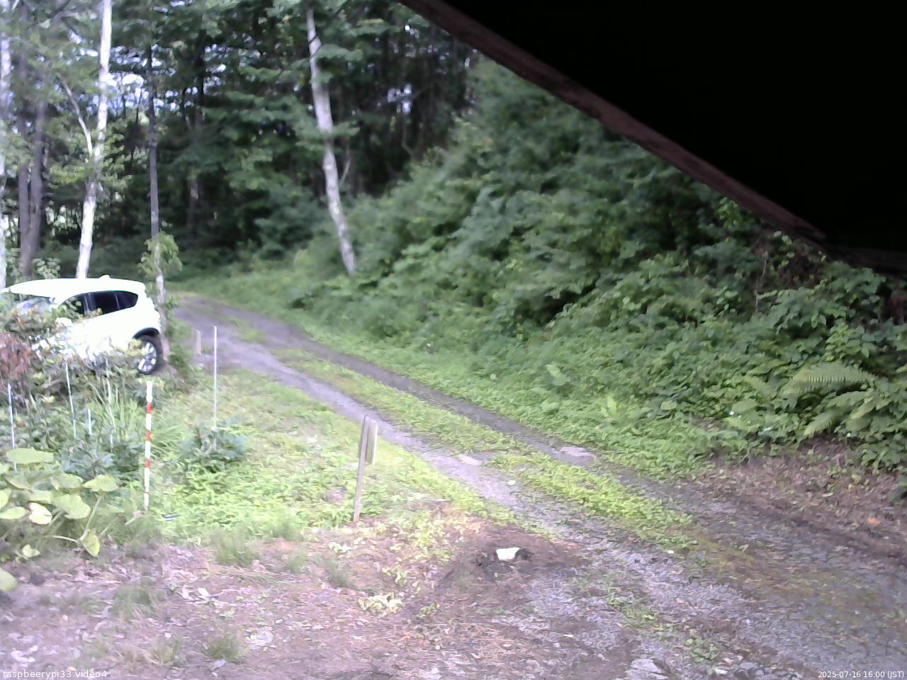 長野県菅平高原 ゆたか山荘 東側(坂下) 2025/07/16 16:00