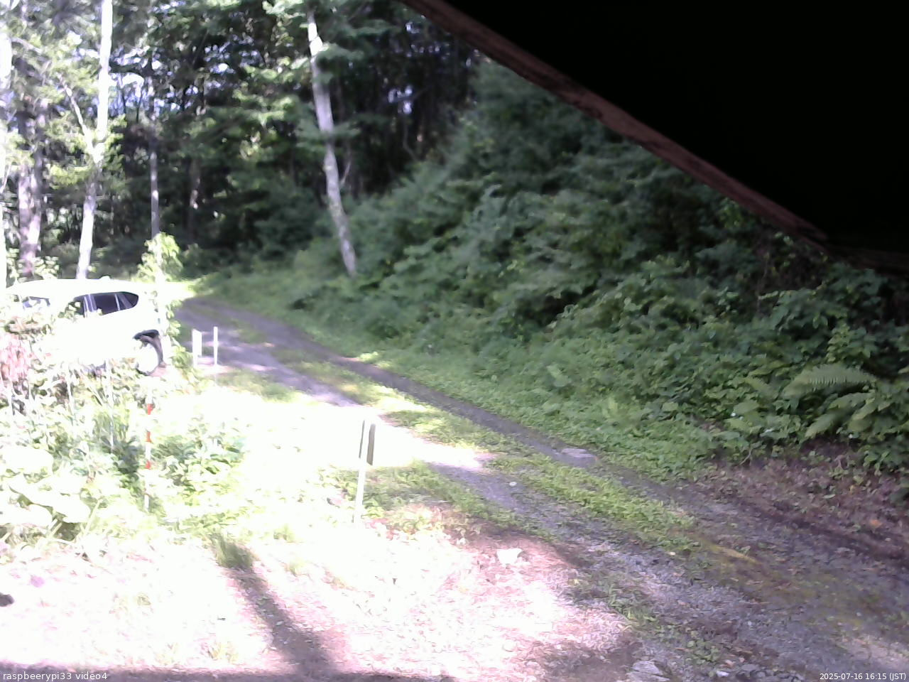 長野県菅平高原 ゆたか山荘 東側(坂下) 2025/07/16 16:15