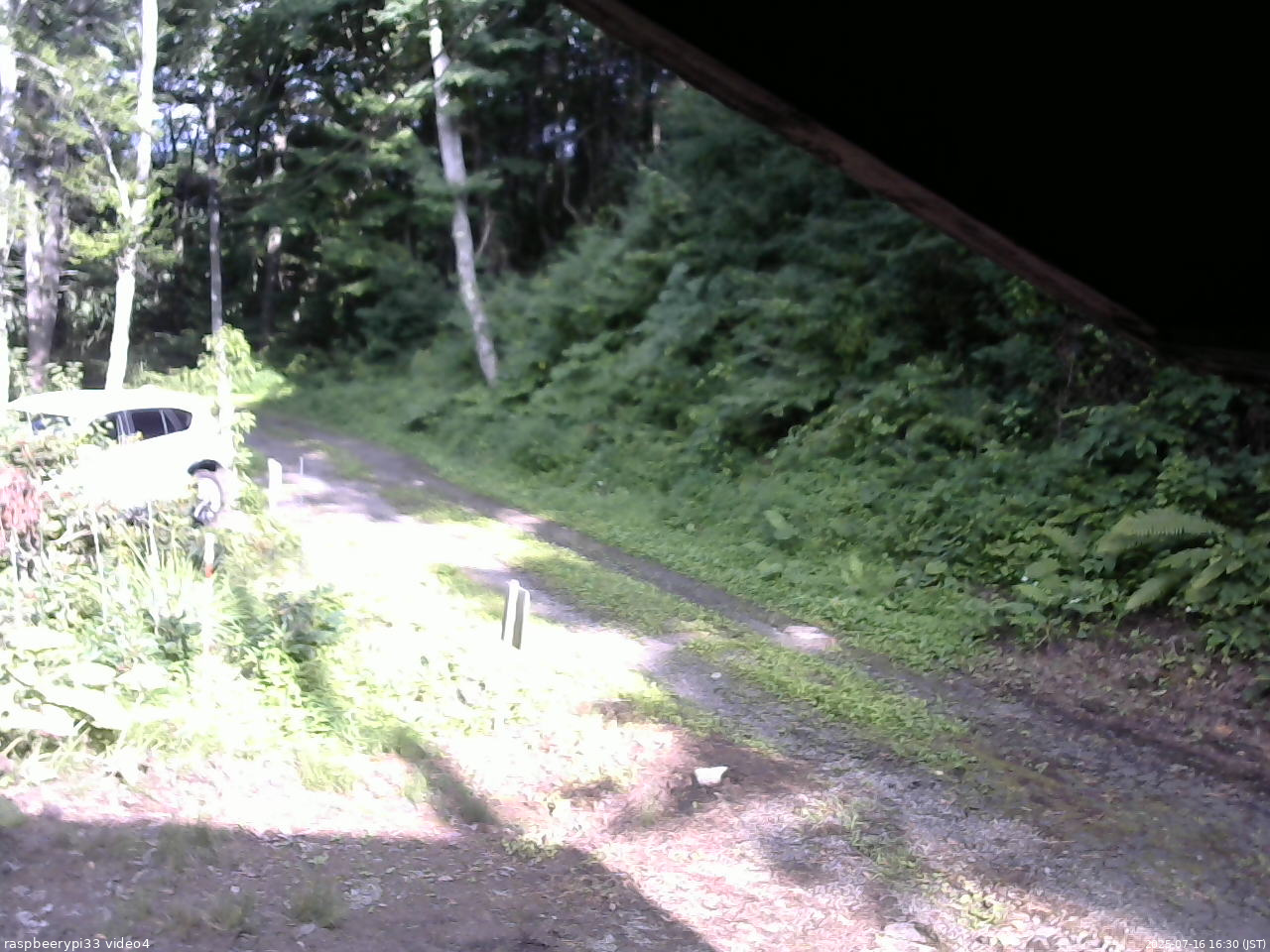 長野県菅平高原 ゆたか山荘 東側(坂下) 2025/07/16 16:30