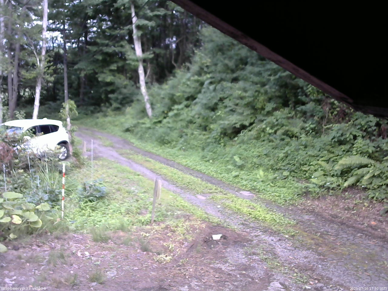長野県菅平高原 ゆたか山荘 東側(坂下) 2025/07/16 17:30