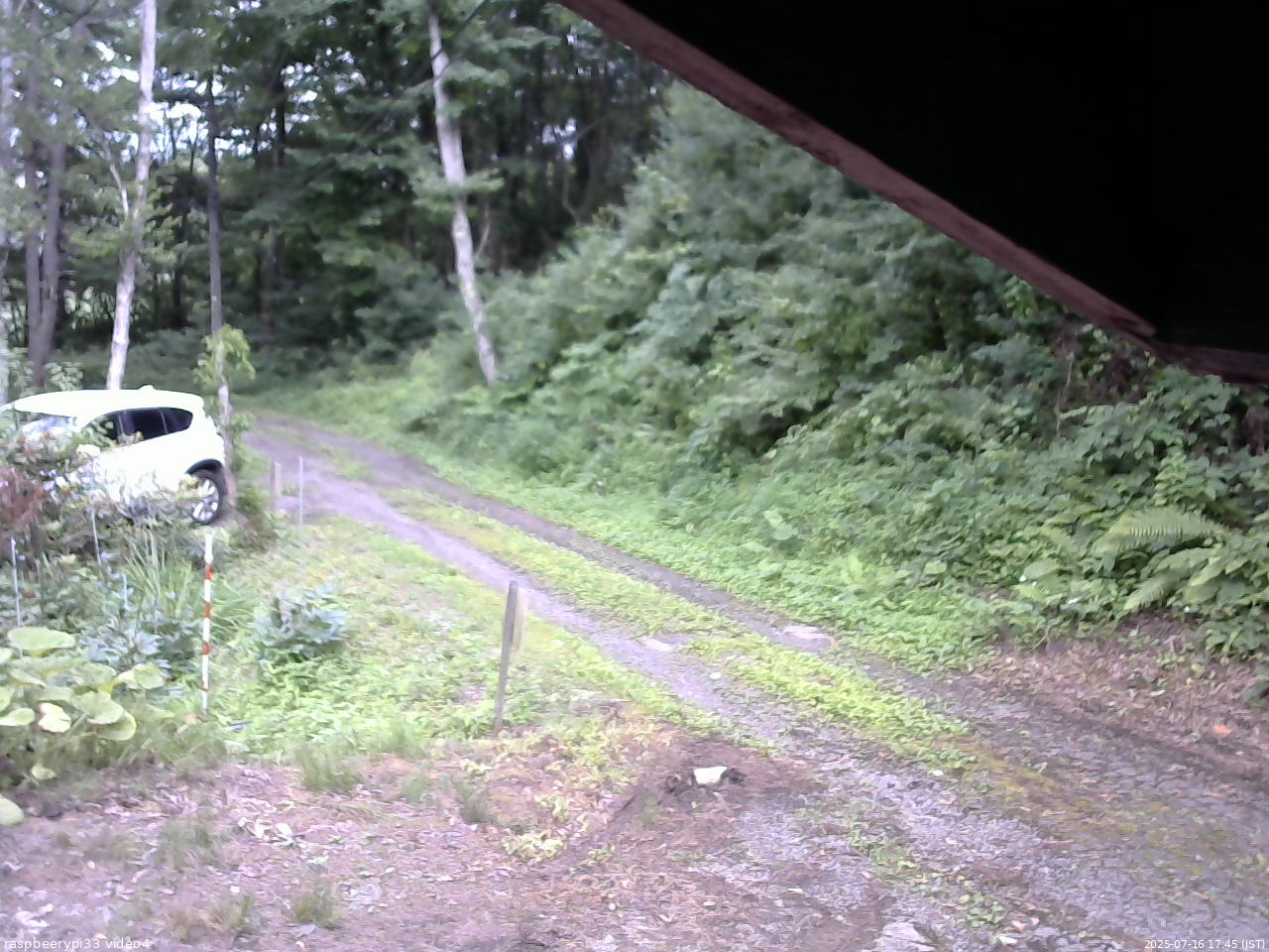 長野県菅平高原 ゆたか山荘 東側(坂下) 2025/07/16 17:45