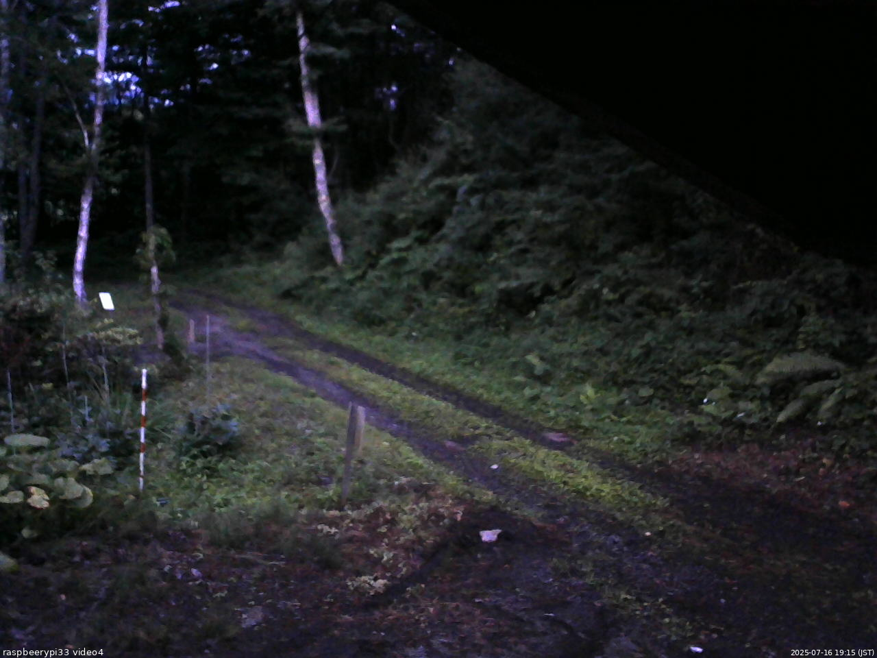 長野県菅平高原 ゆたか山荘 東側(坂下) 2025/07/16 19:15
