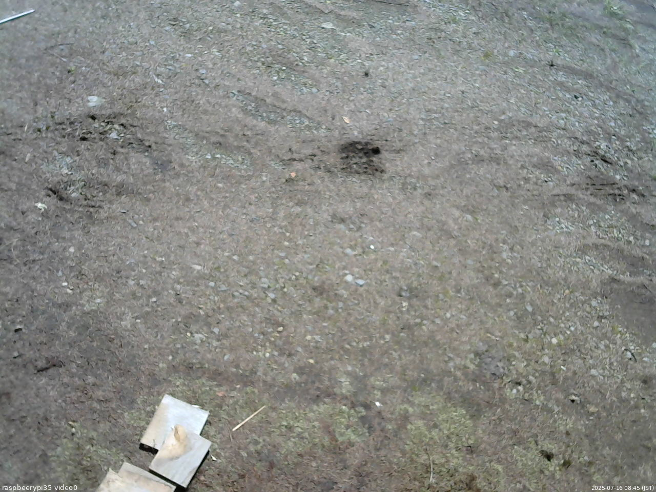 長野県菅平高原 ゆたか山荘 温度計 2025/07/16 08:45