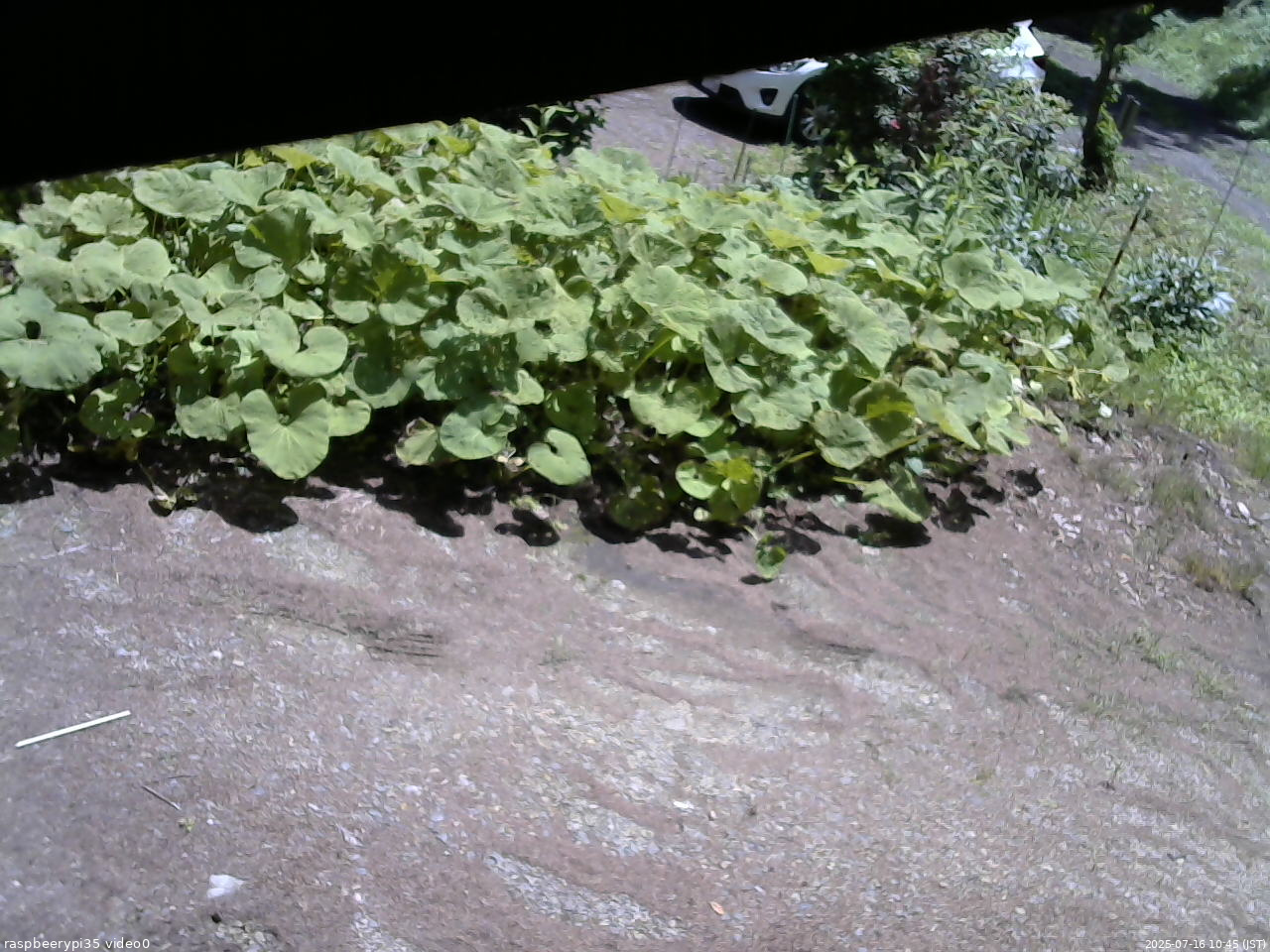 長野県菅平高原 ゆたか山荘 温度計 2025/07/16 10:45