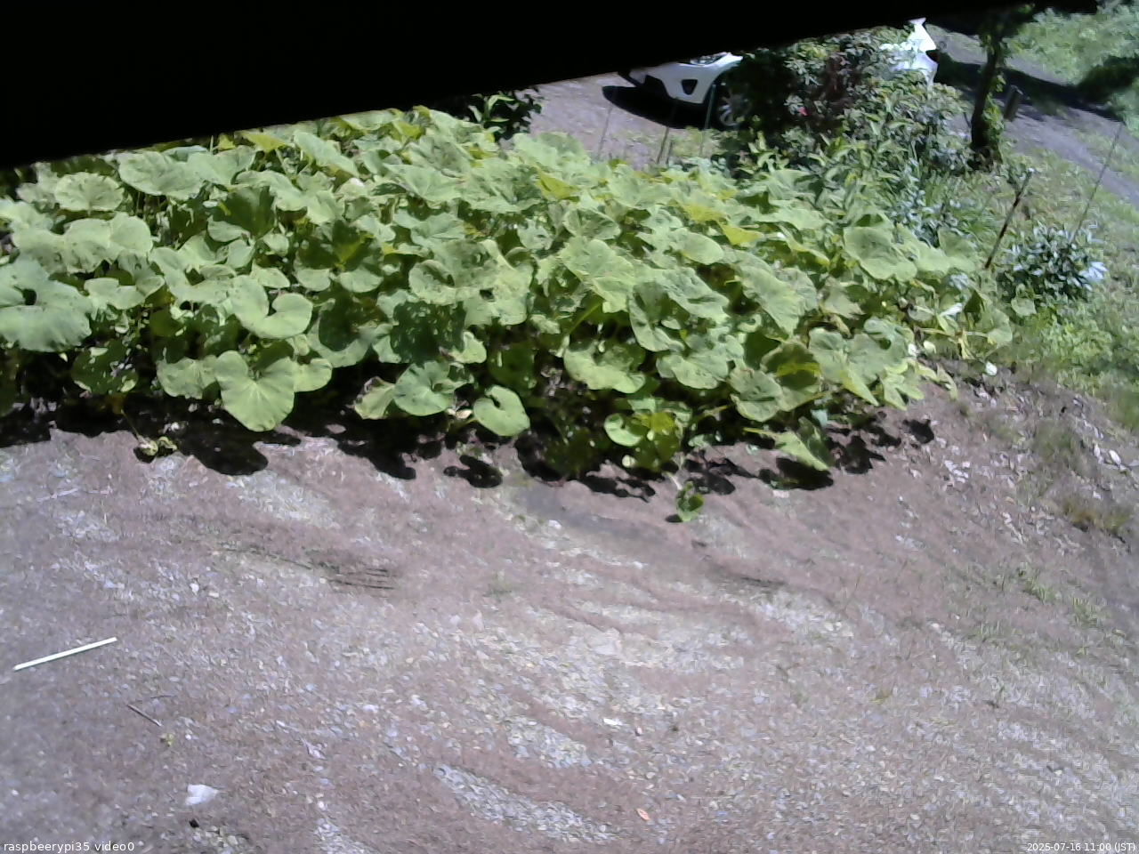 長野県菅平高原 ゆたか山荘 温度計 2025/07/16 11:00