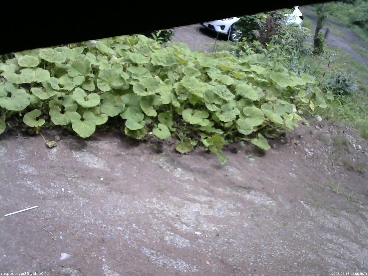 長野県菅平高原 ゆたか山荘 温度計 2025/07/16 12:00