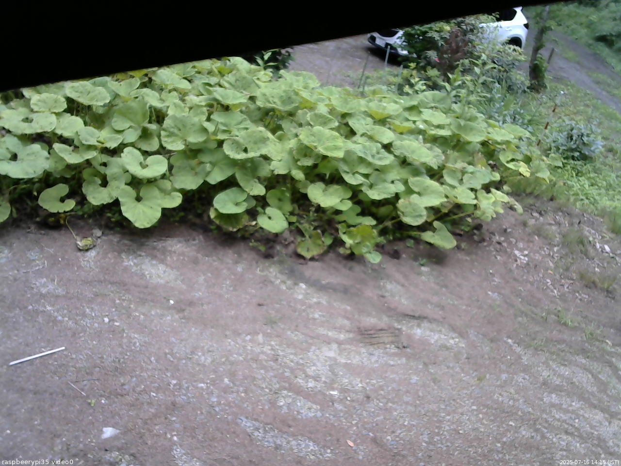 長野県菅平高原 ゆたか山荘 温度計 2025/07/16 14:15