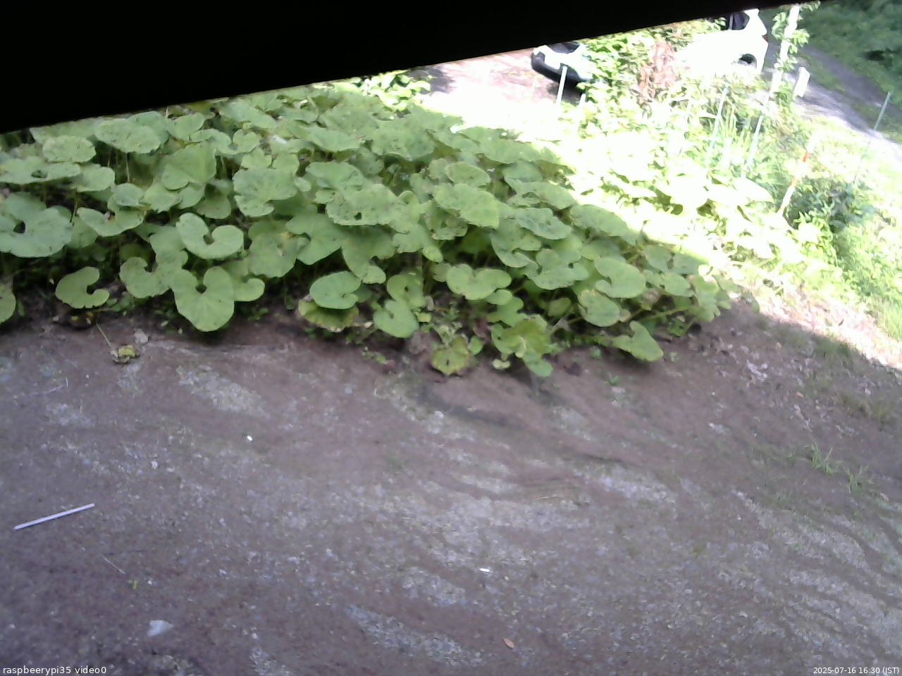 長野県菅平高原 ゆたか山荘 温度計 2025/07/16 16:30