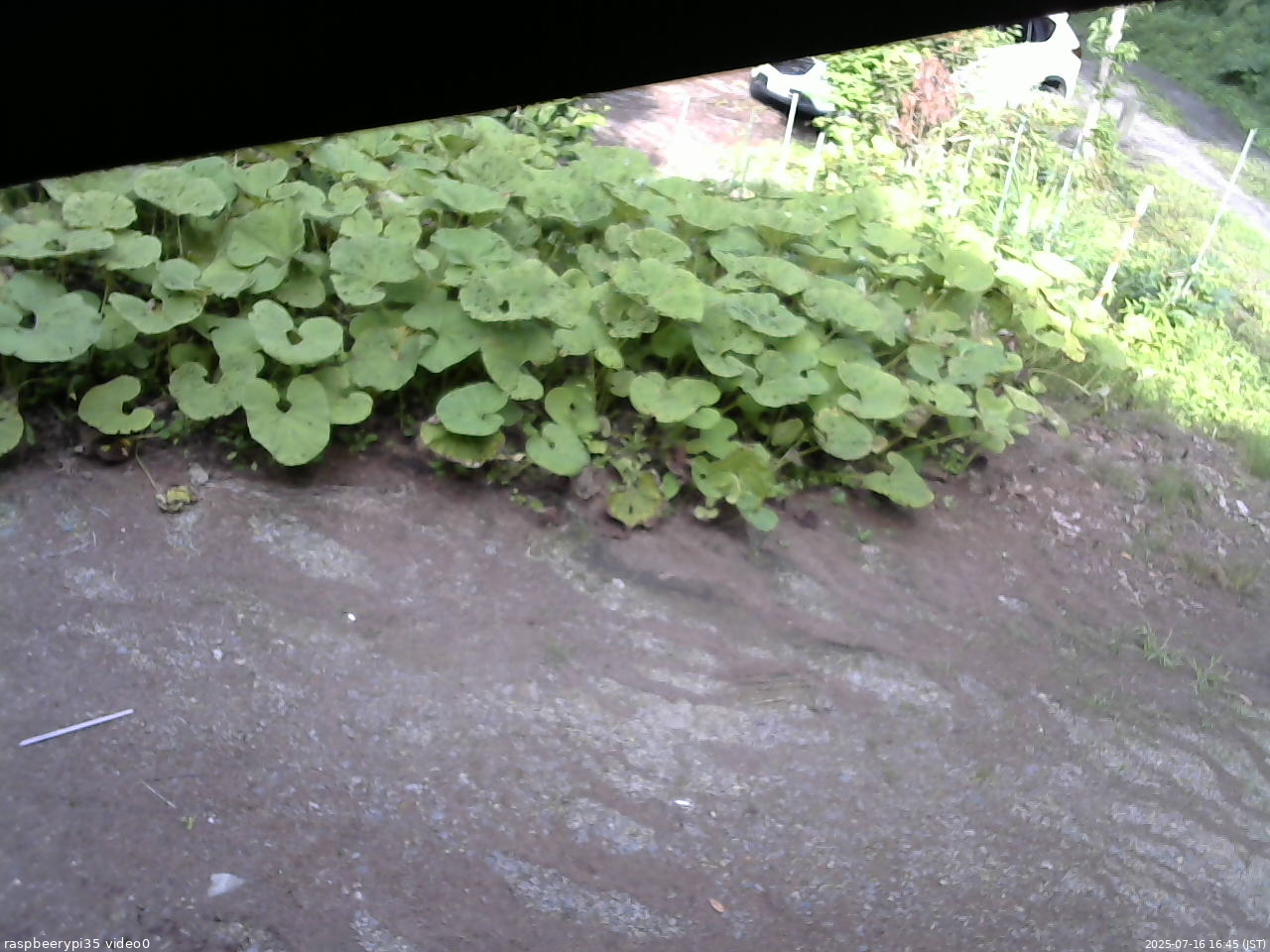 長野県菅平高原 ゆたか山荘 温度計 2025/07/16 16:45