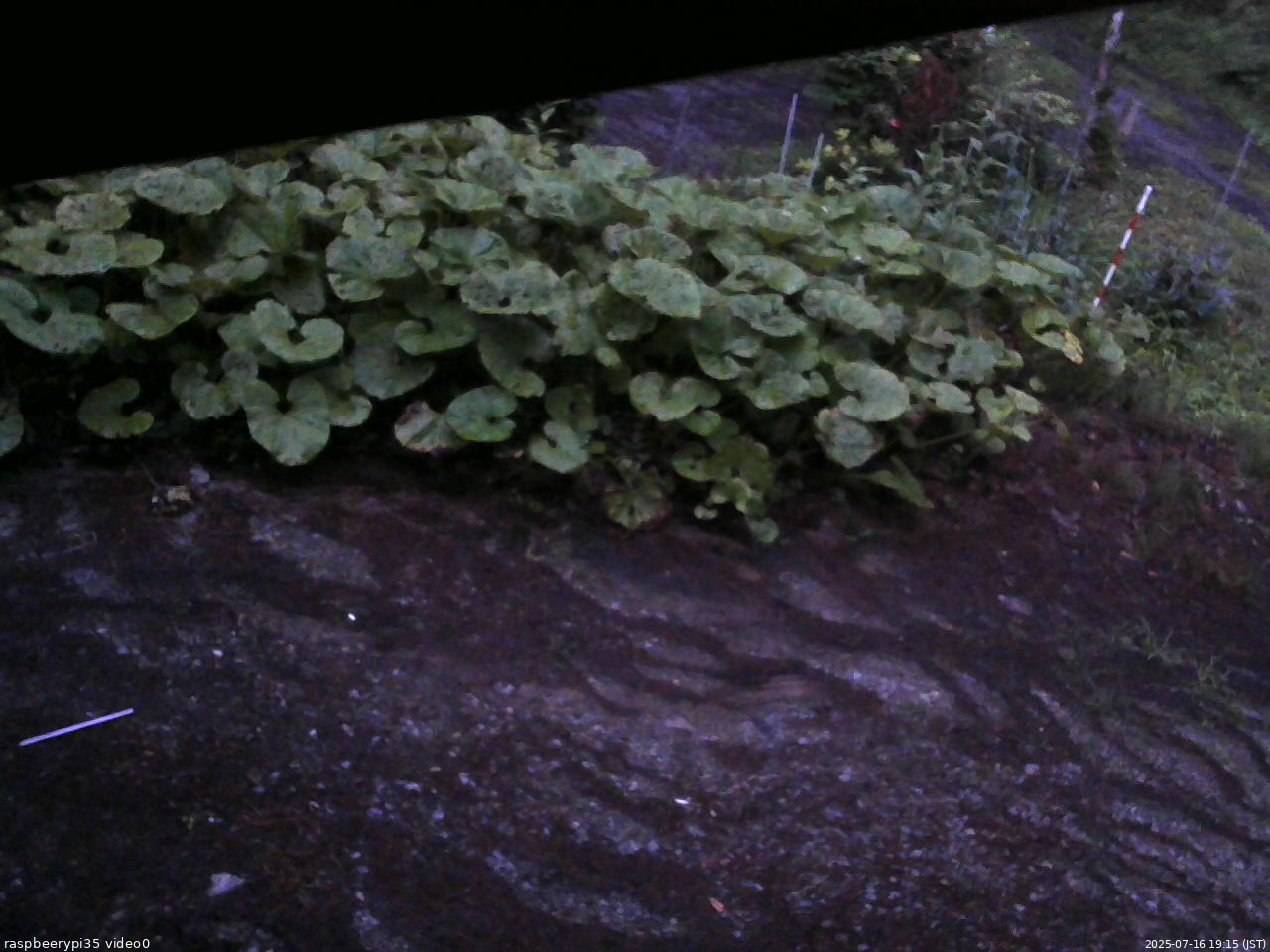 長野県菅平高原 ゆたか山荘 温度計 2025/07/16 19:15