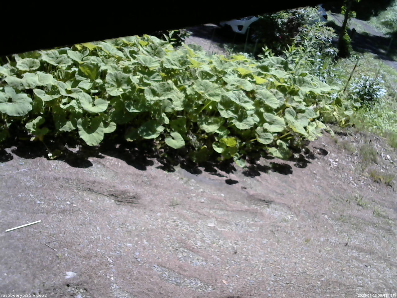長野県菅平高原 ゆたか山荘 駐車場 2025/07/16 09:45