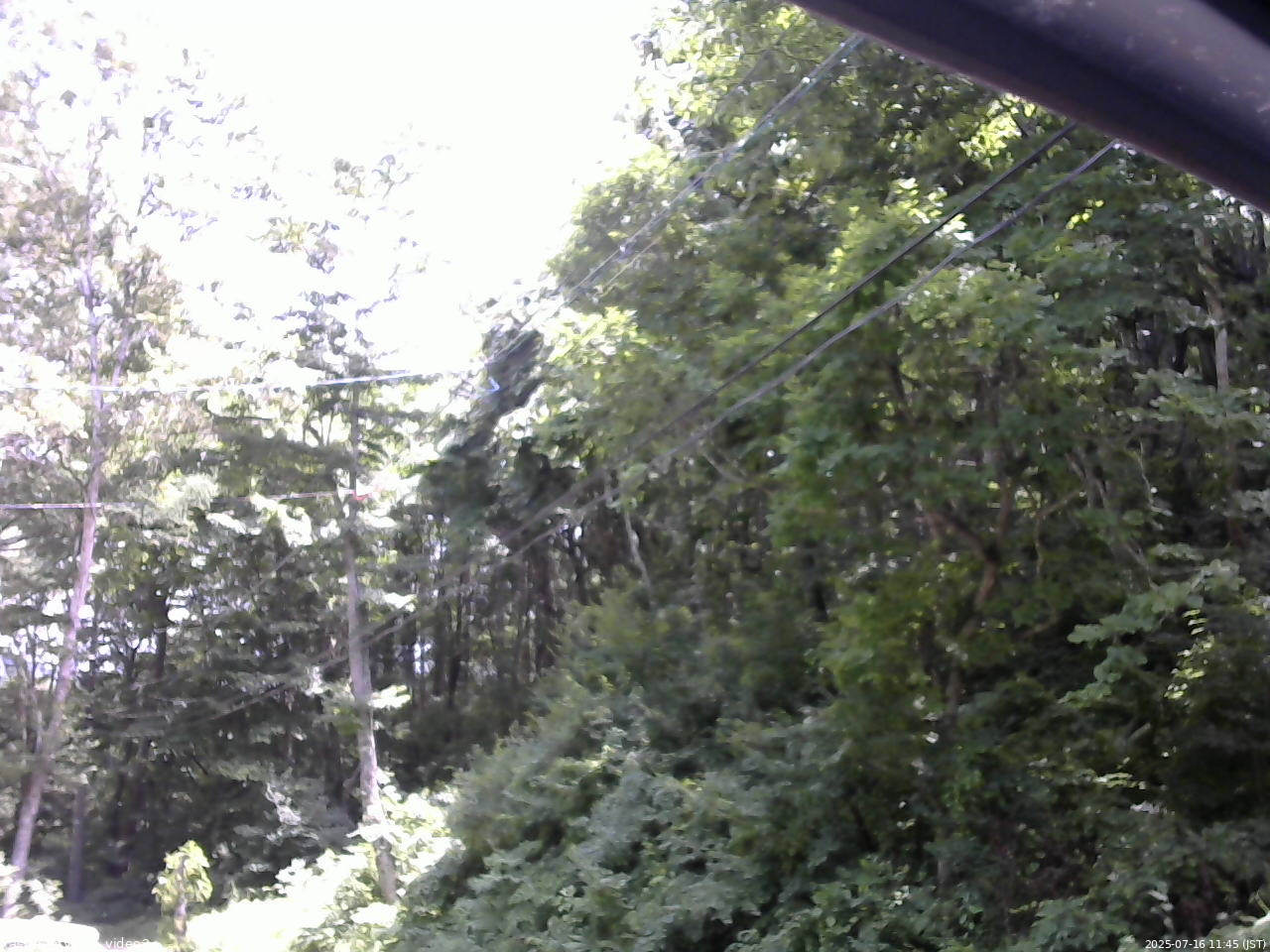 長野県菅平高原 ゆたか山荘 駐車場 2025/07/16 11:45