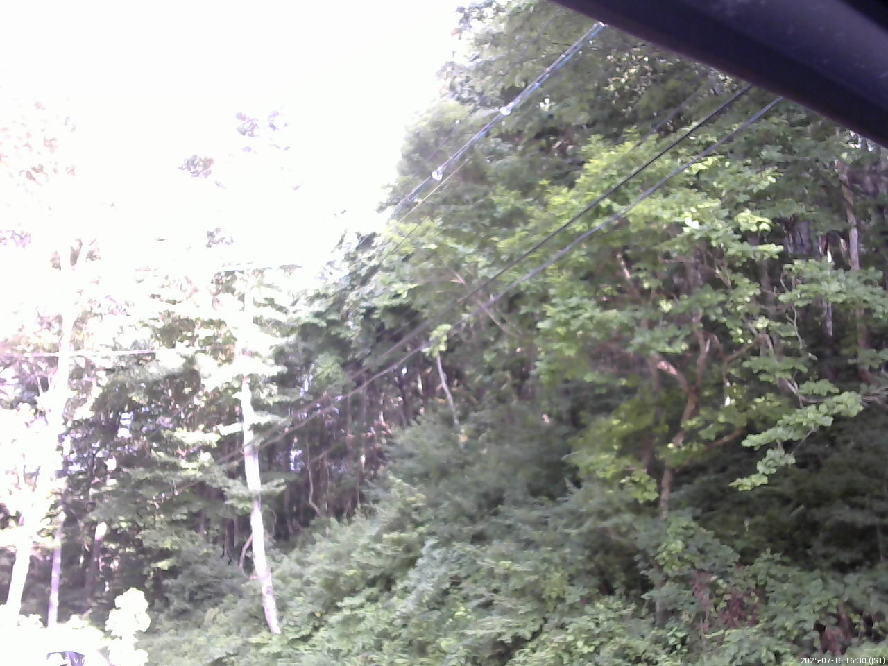 長野県菅平高原 ゆたか山荘 駐車場 2025/07/16 16:30