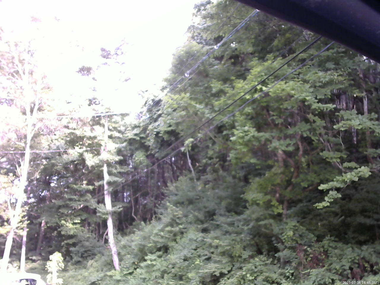 長野県菅平高原 ゆたか山荘 駐車場 2025/07/16 16:45