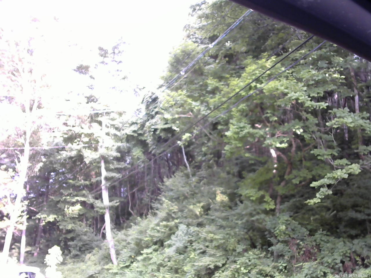 長野県菅平高原 ゆたか山荘 駐車場 2025/07/16 17:00