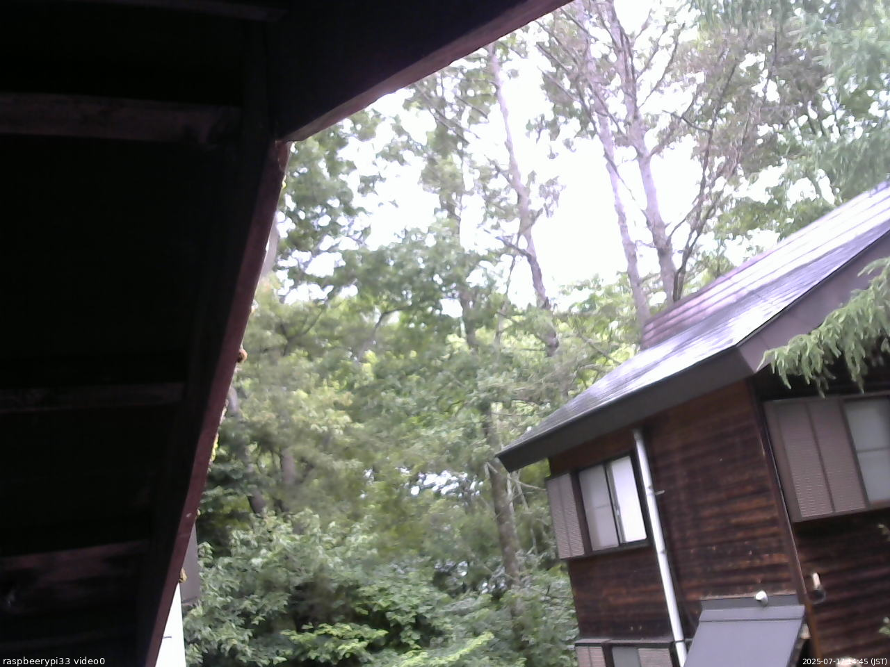 長野県菅平高原 ゆたか山荘 北側 2025/07/17 14:45