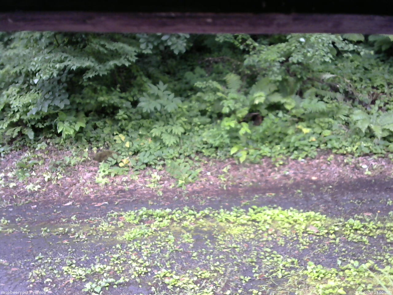 長野県菅平高原 ゆたか山荘 南側 2025/07/17 13:00