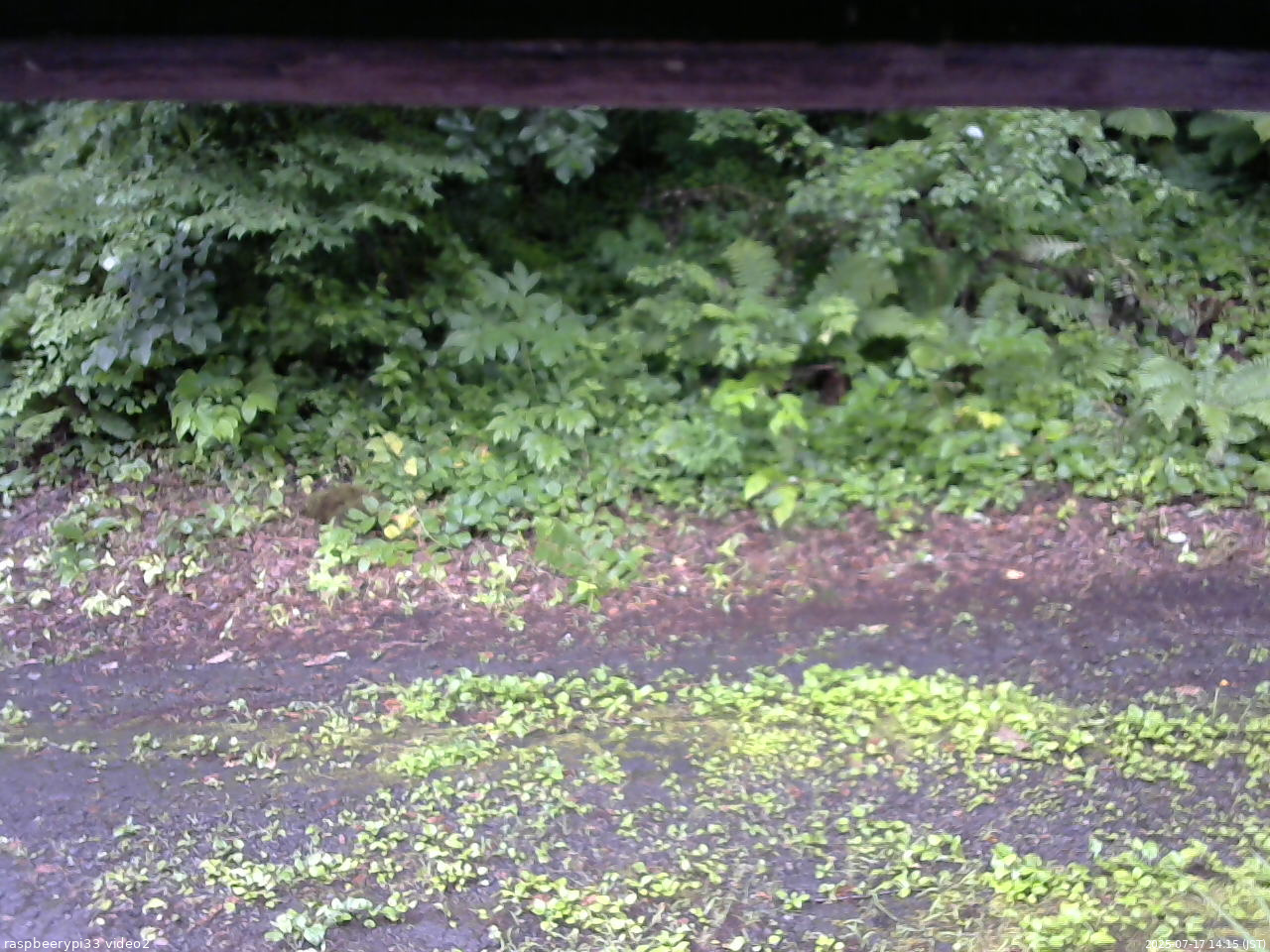 長野県菅平高原 ゆたか山荘 南側 2025/07/17 14:15
