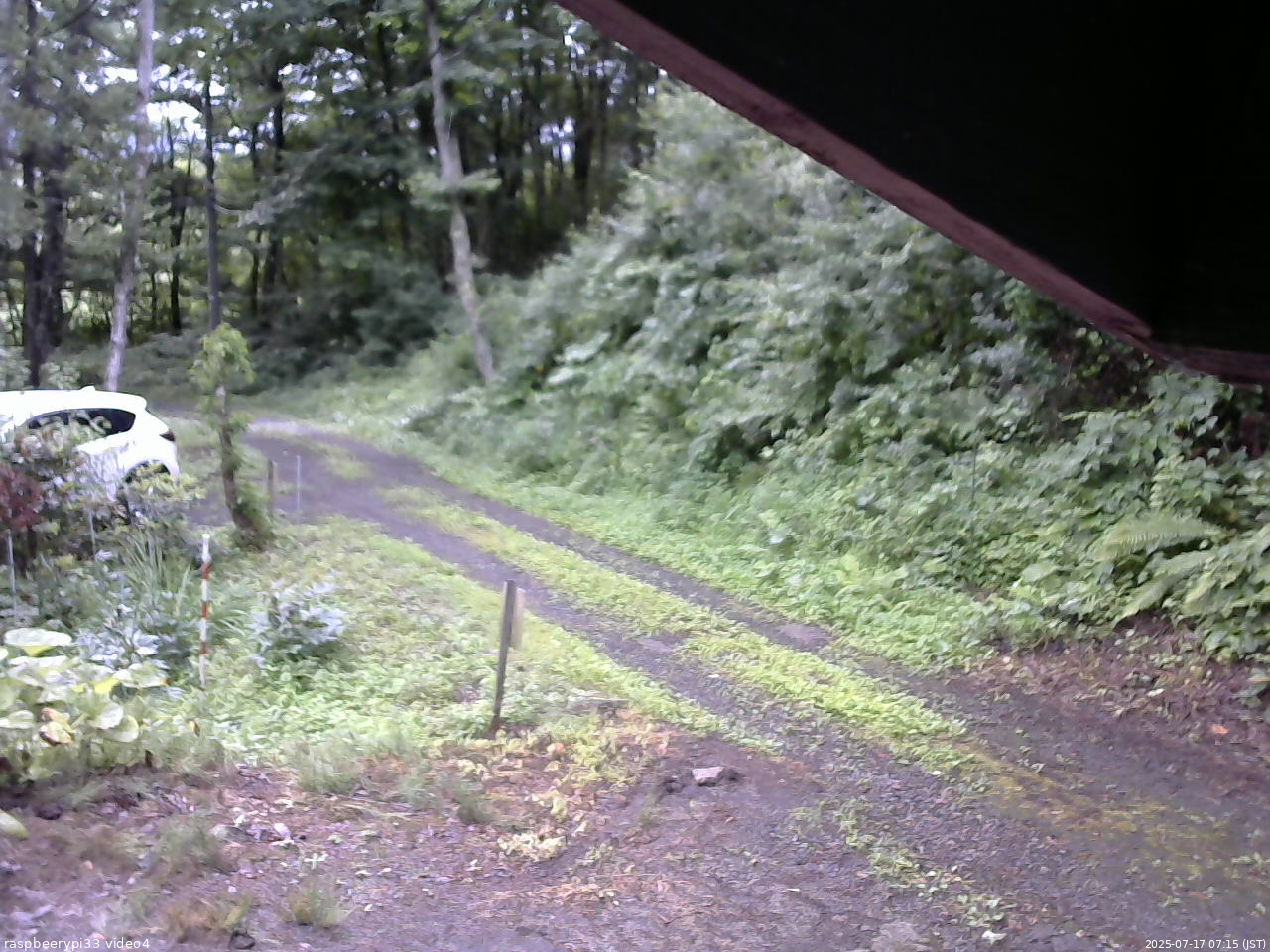 長野県菅平高原 ゆたか山荘 東側(坂下) 2025/07/17 07:15