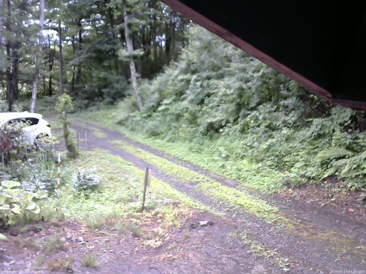 長野県菅平高原 ゆたか山荘 東側(坂下) 2025/07/17 07:30
