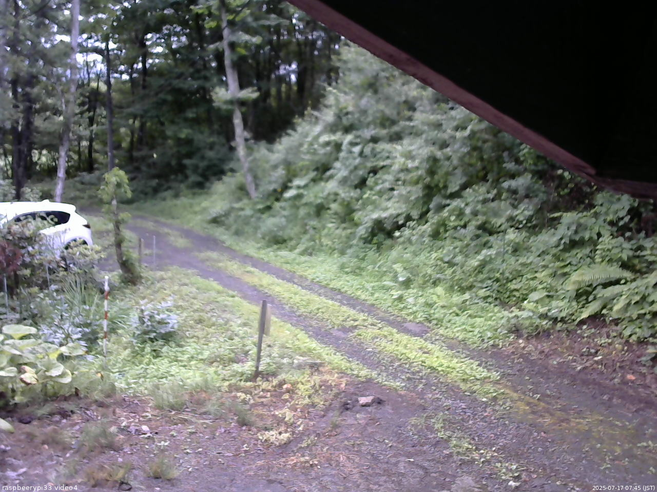 長野県菅平高原 ゆたか山荘 東側(坂下) 2025/07/17 07:45