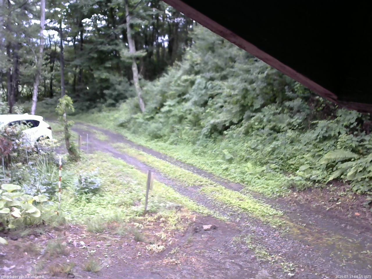 長野県菅平高原 ゆたか山荘 東側(坂下) 2025/07/17 08:15