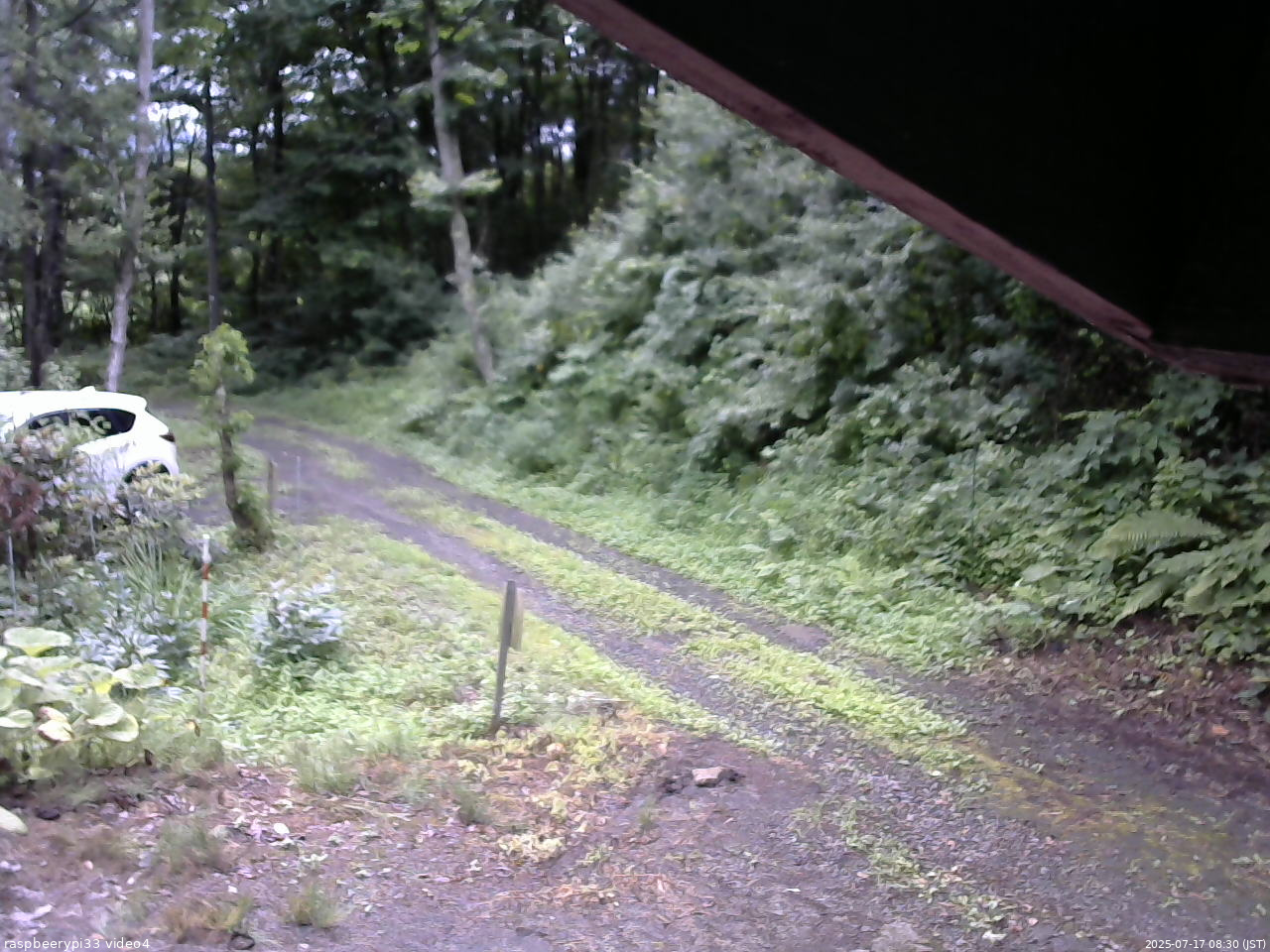 長野県菅平高原 ゆたか山荘 東側(坂下) 2025/07/17 08:30