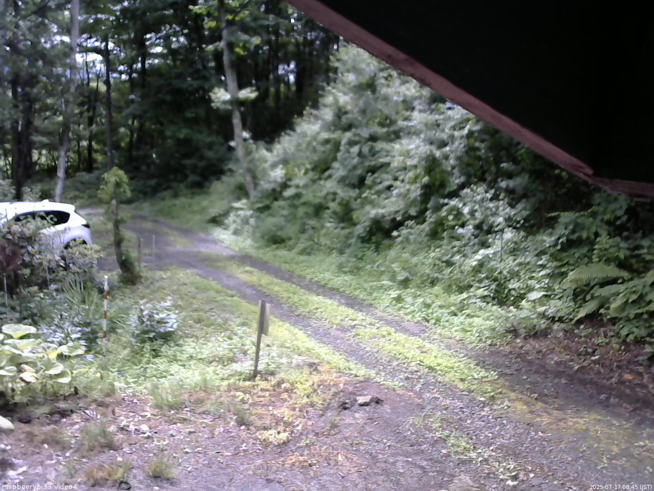 長野県菅平高原 ゆたか山荘 東側(坂下) 2025/07/17 08:45