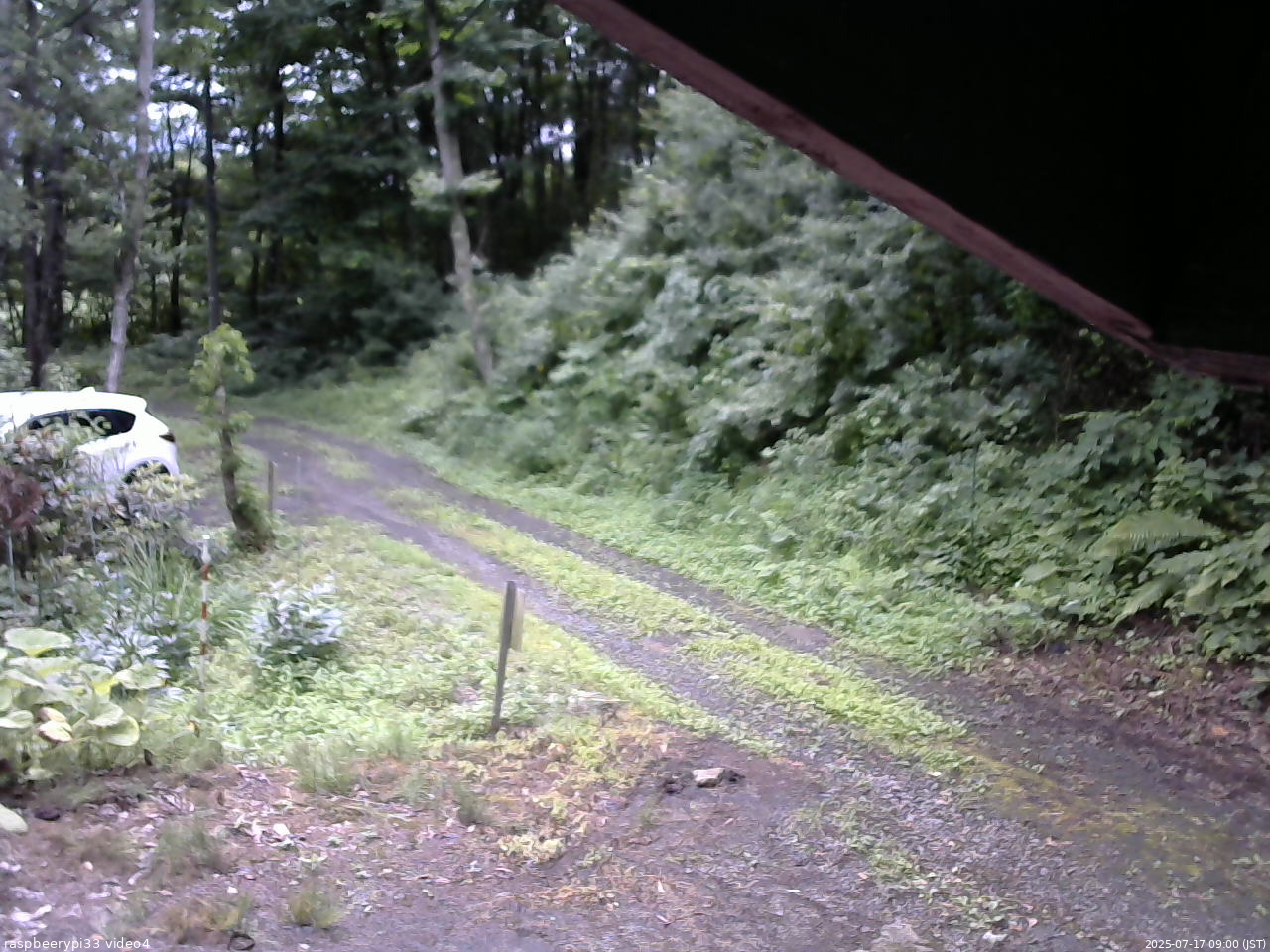 長野県菅平高原 ゆたか山荘 東側(坂下) 2025/07/17 09:00