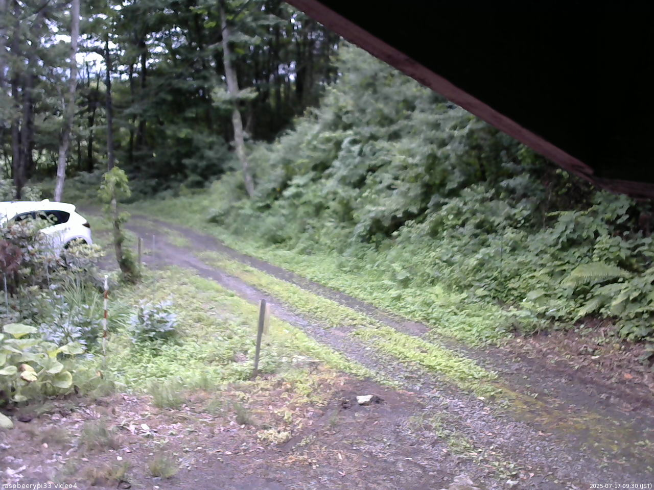 長野県菅平高原 ゆたか山荘 東側(坂下) 2025/07/17 09:30