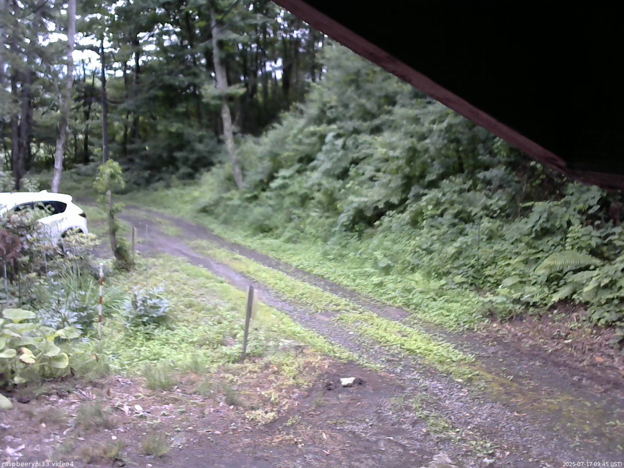 長野県菅平高原 ゆたか山荘 東側(坂下) 2025/07/17 09:45