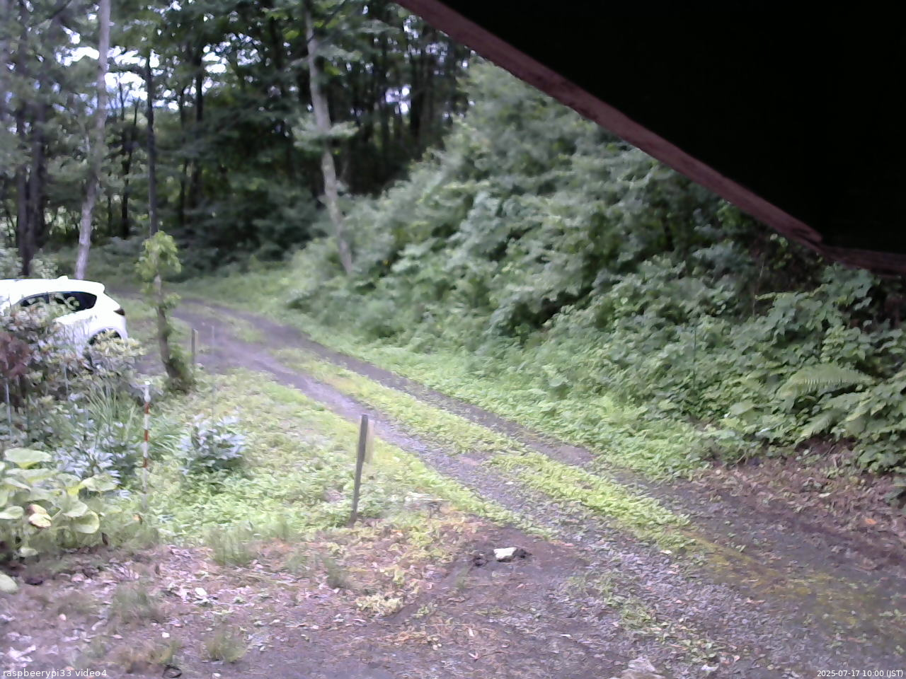 長野県菅平高原 ゆたか山荘 東側(坂下) 2025/07/17 10:00