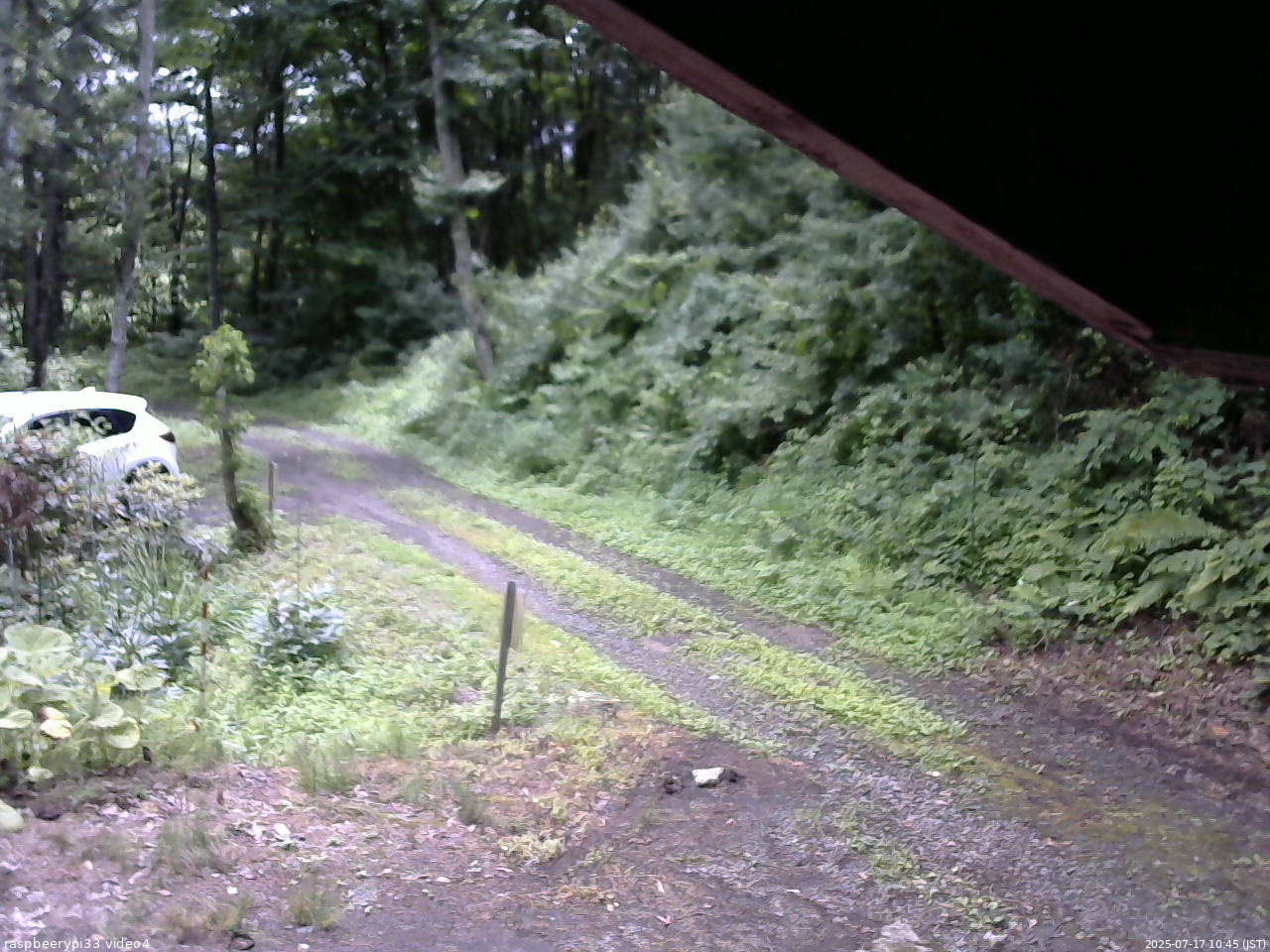 長野県菅平高原 ゆたか山荘 東側(坂下) 2025/07/17 10:45