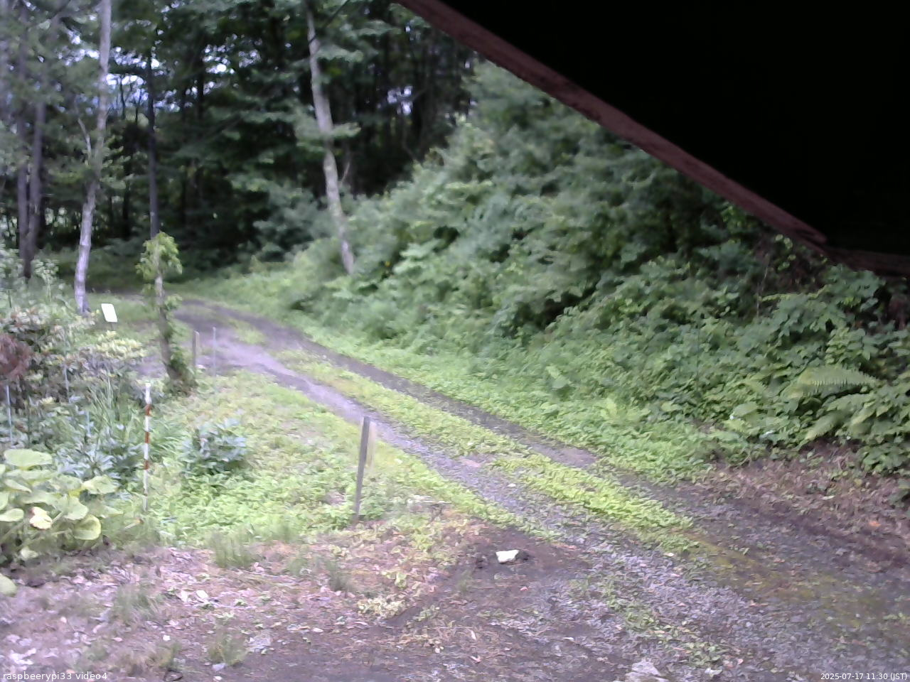 長野県菅平高原 ゆたか山荘 東側(坂下) 2025/07/17 11:30