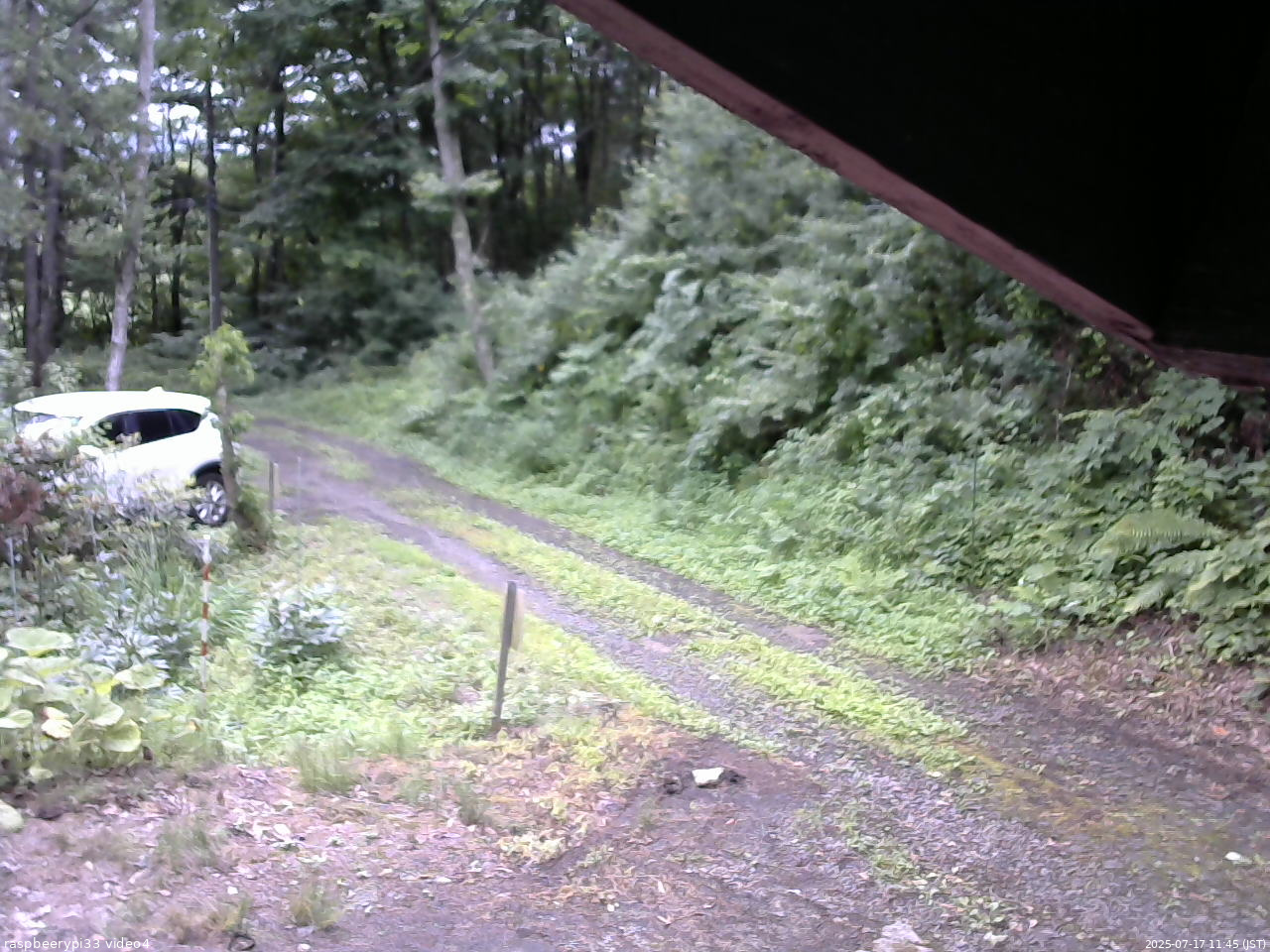 長野県菅平高原 ゆたか山荘 東側(坂下) 2025/07/17 11:45