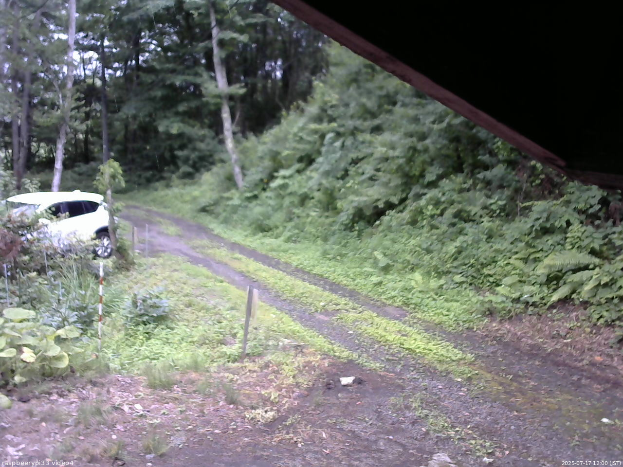 長野県菅平高原 ゆたか山荘 東側(坂下) 2025/07/17 12:00