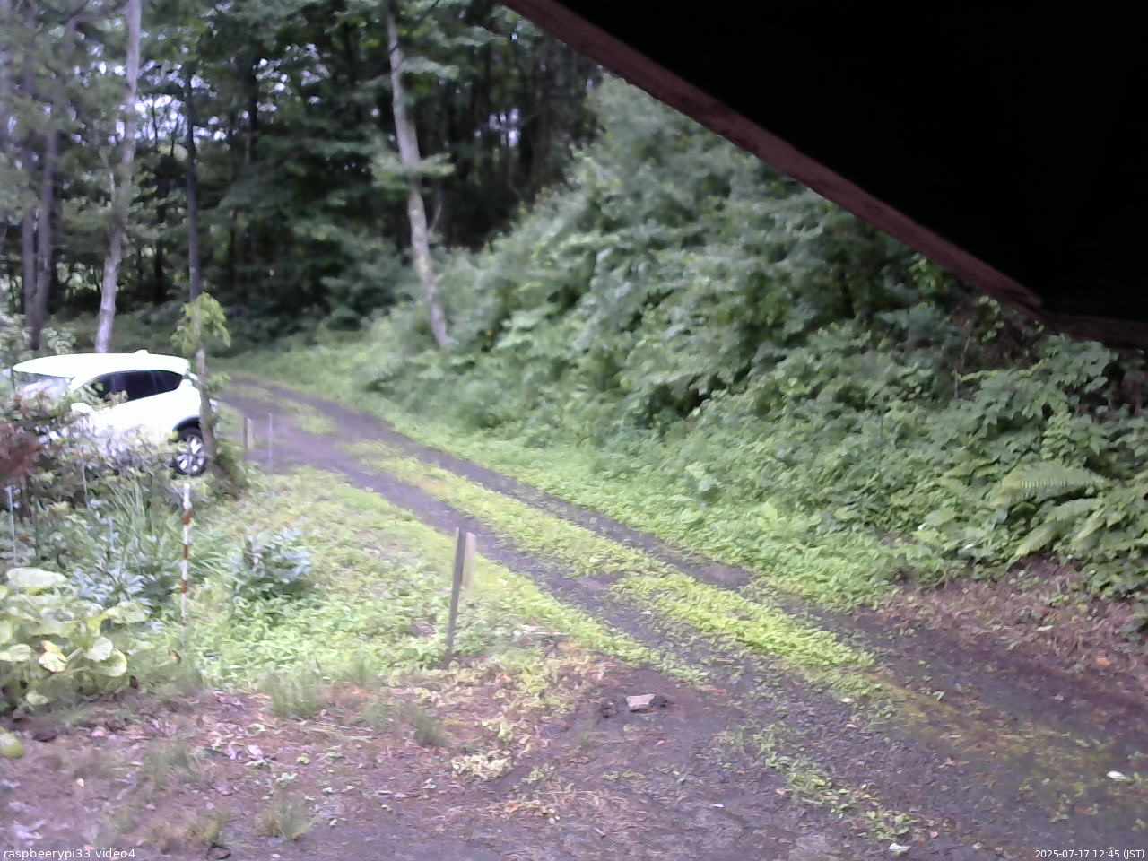 長野県菅平高原 ゆたか山荘 東側(坂下) 2025/07/17 12:45