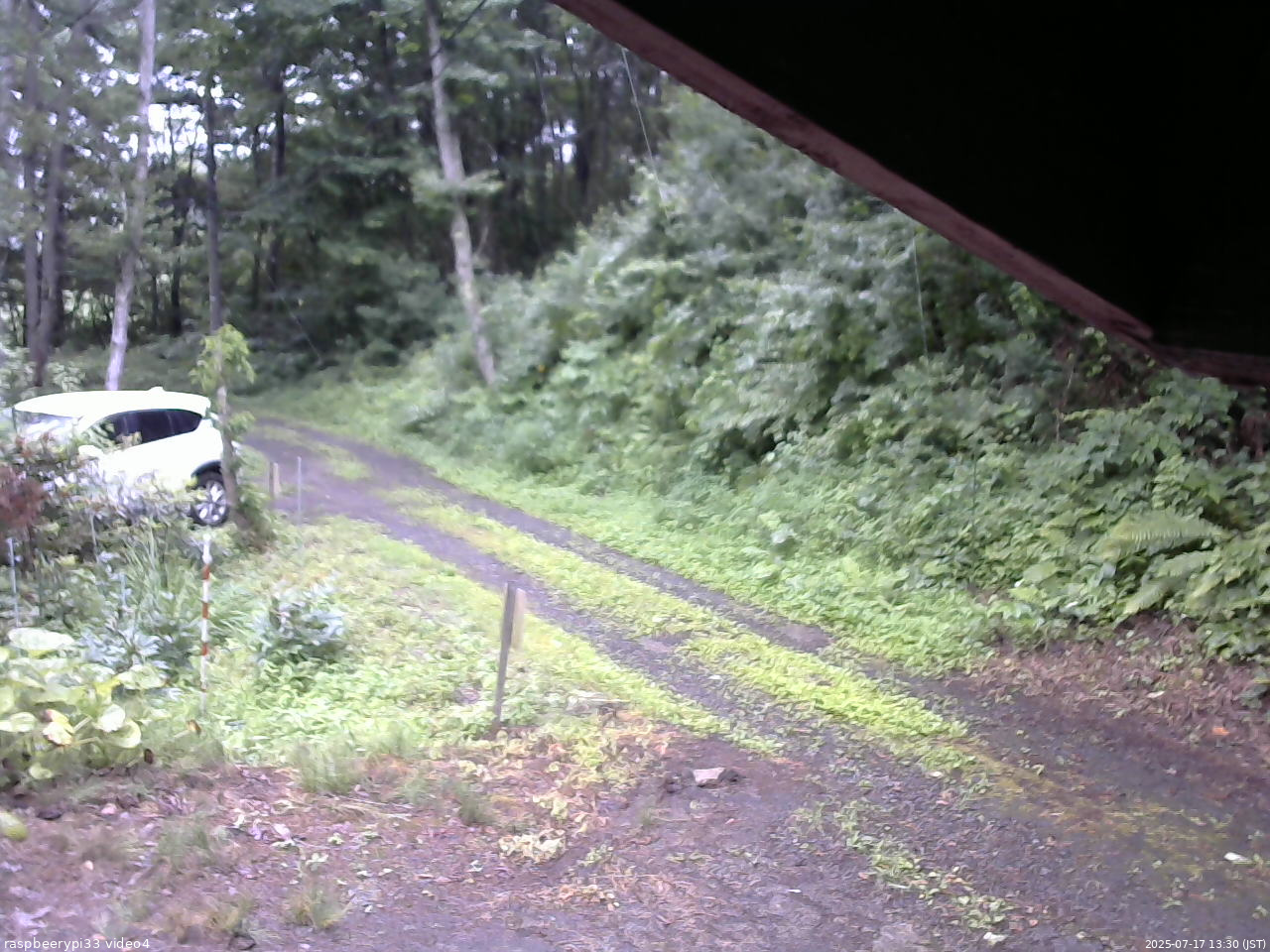 長野県菅平高原 ゆたか山荘 東側(坂下) 2025/07/17 13:30