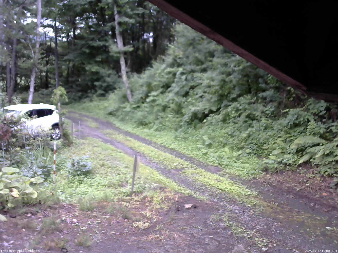 長野県菅平高原 ゆたか山荘 東側(坂下) 2025/07/17 16:00