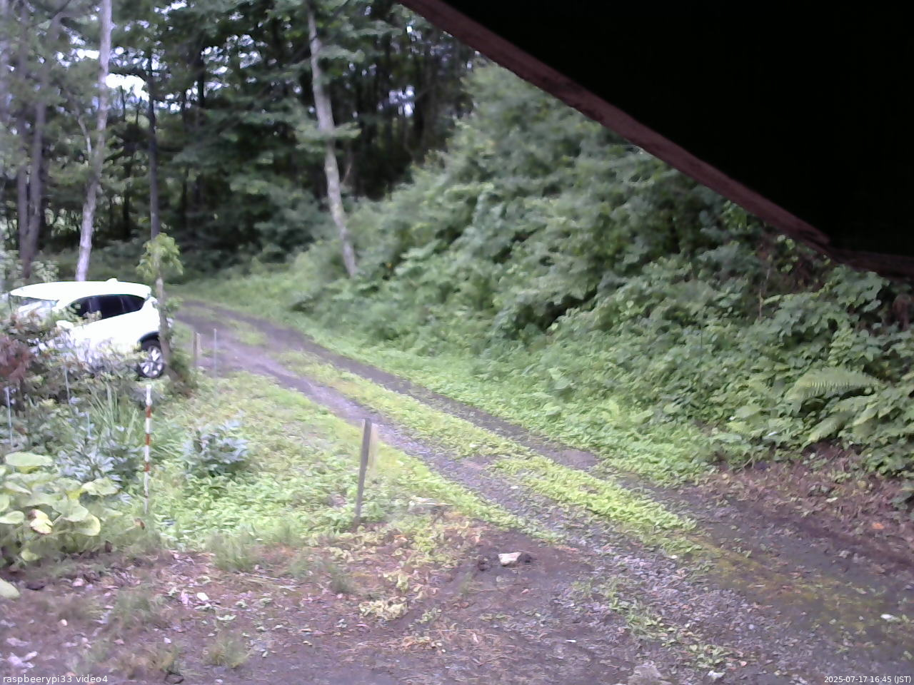 長野県菅平高原 ゆたか山荘 東側(坂下) 2025/07/17 16:45