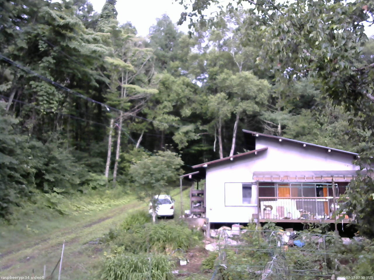 長野県菅平高原 ゆたか山荘 西側(坂上) 2025/07/17 07:30